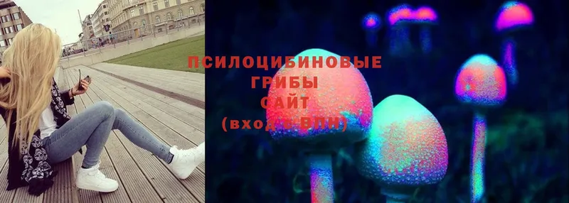 хочу   Кимовск  MEGA вход  Псилоцибиновые грибы Magic Shrooms 